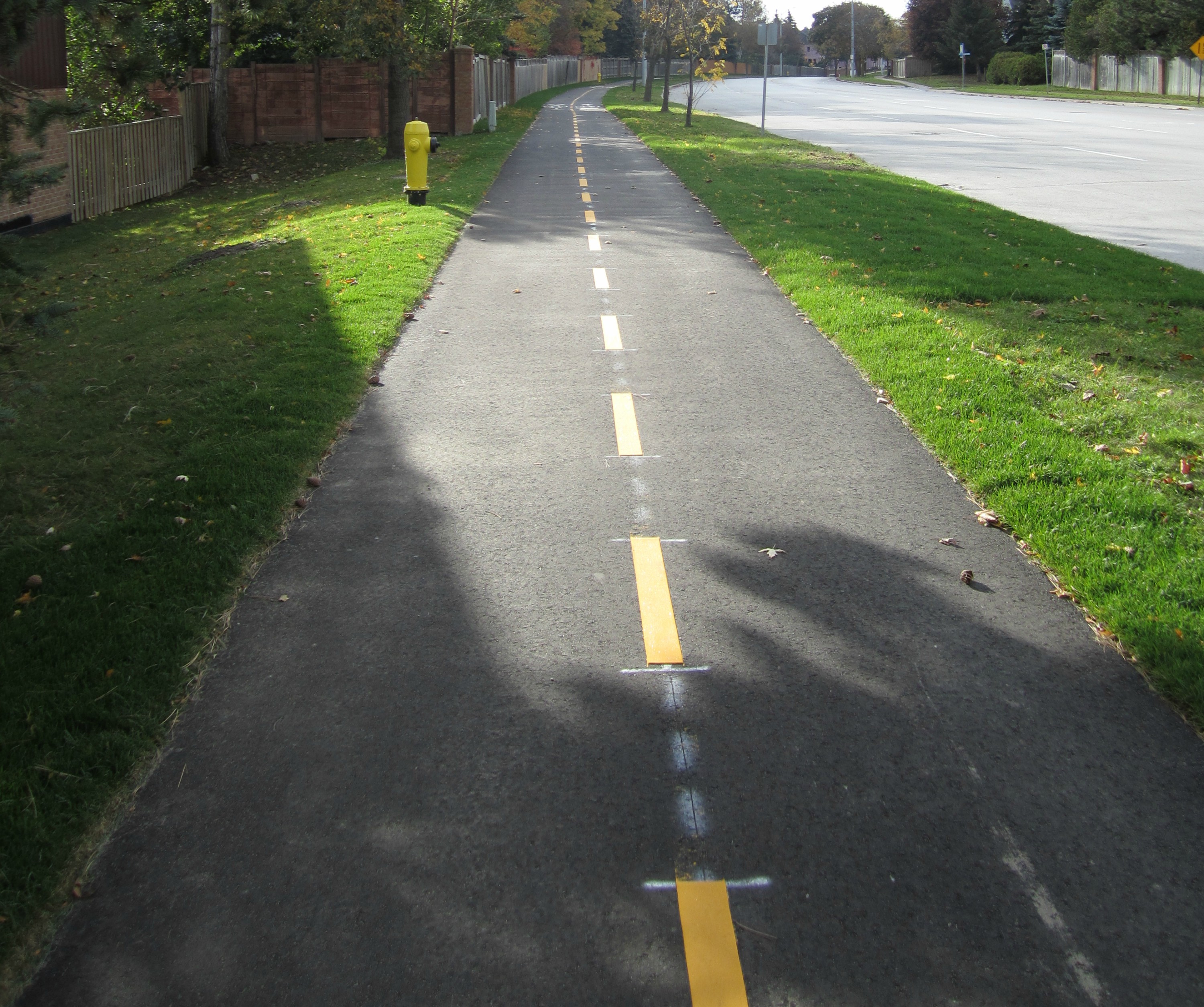 a picture of a multi use path on eagle street west looking southbound