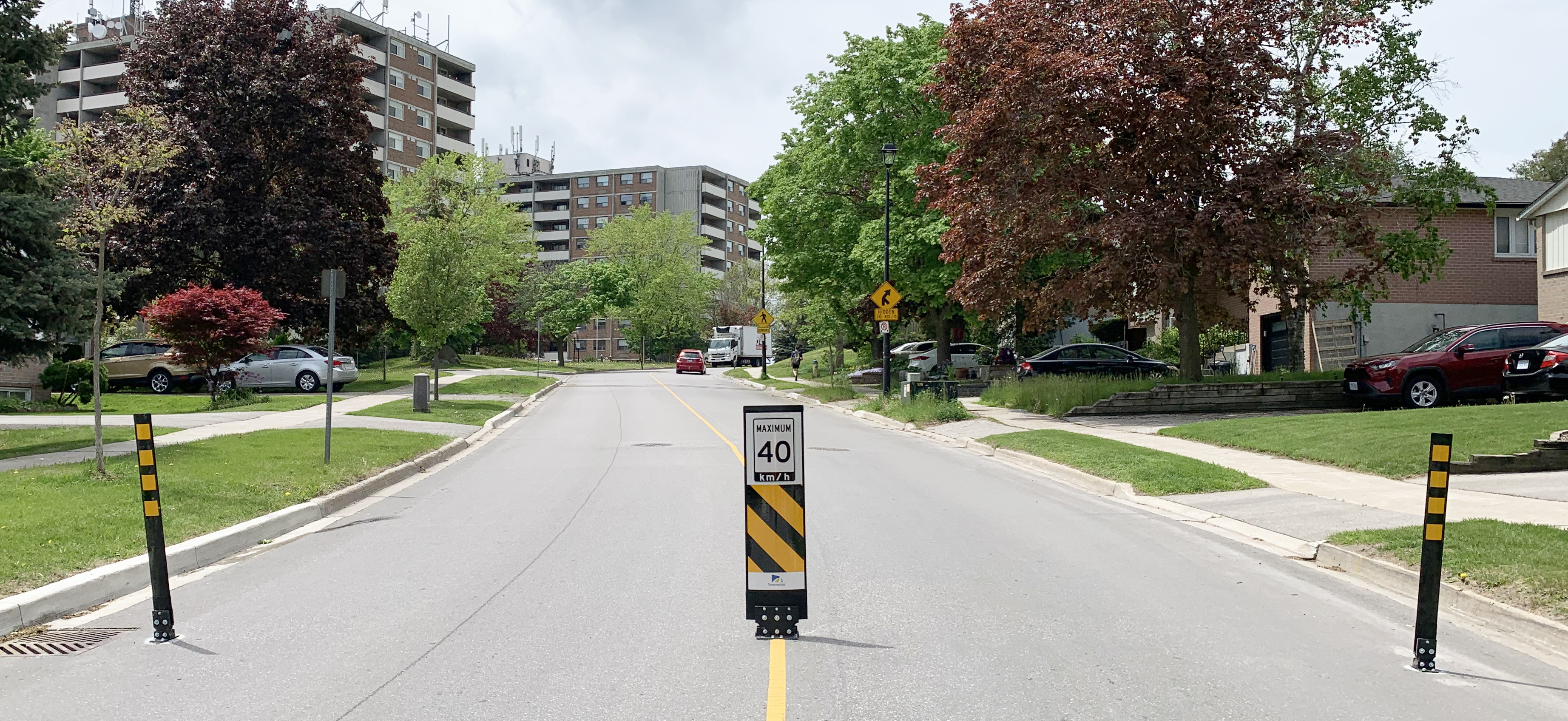 Bollard with Speed Limit 2.jpg