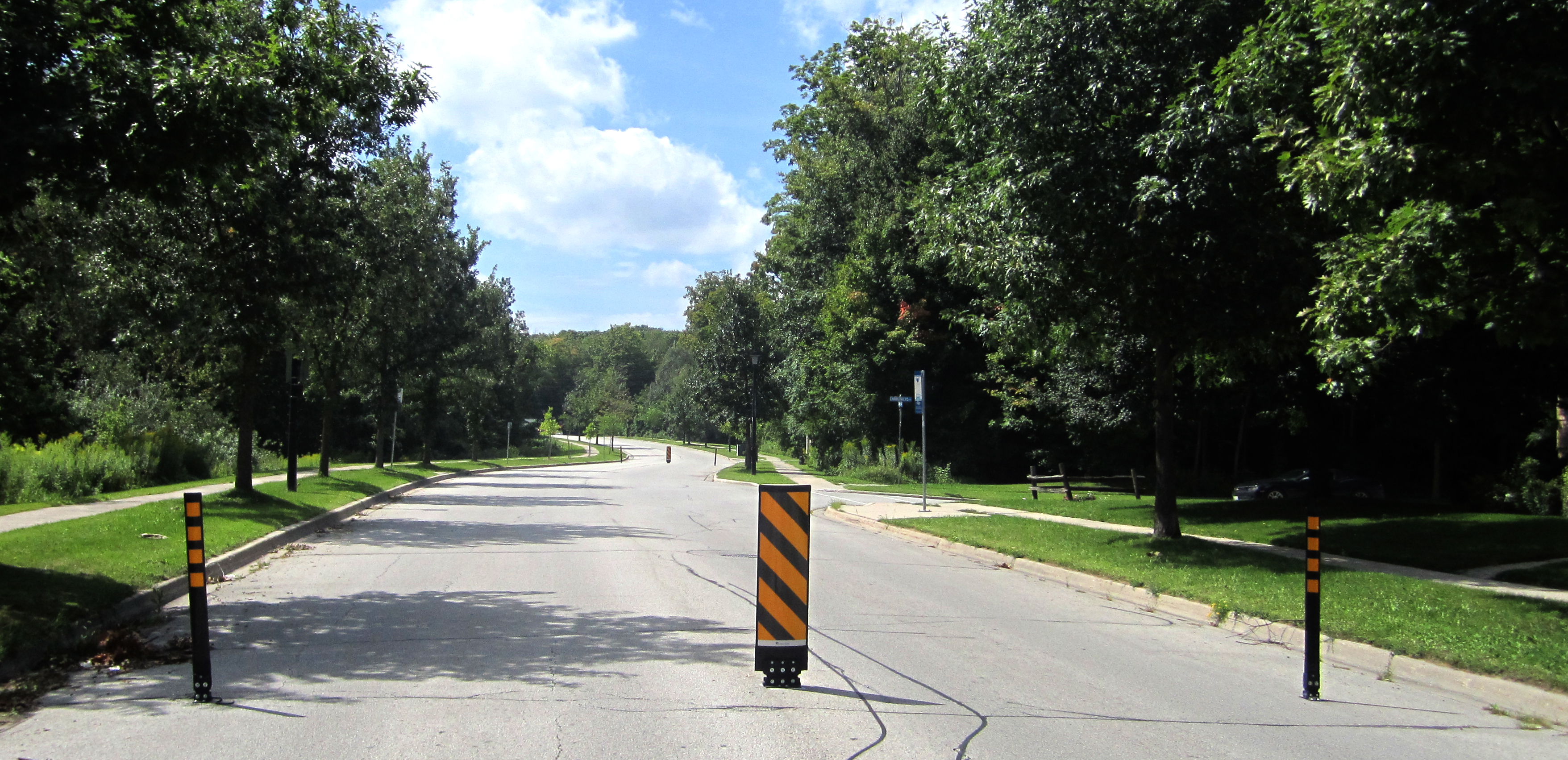 Image of street with flexible bollards