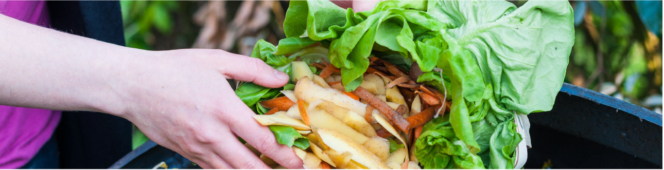 image of somebody putting vegatables in a compost bin