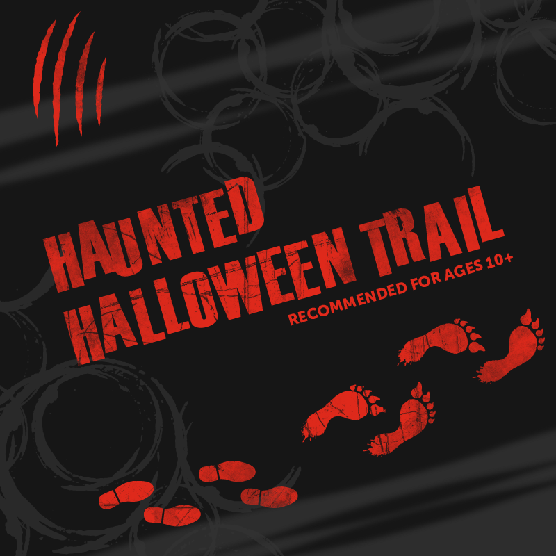 Special Events_Web Tiles-24.png