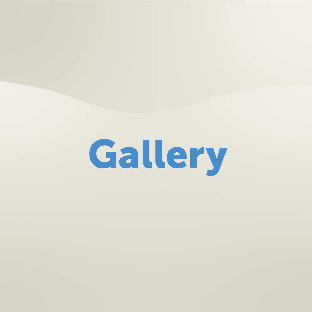 Gallery Web Button.png