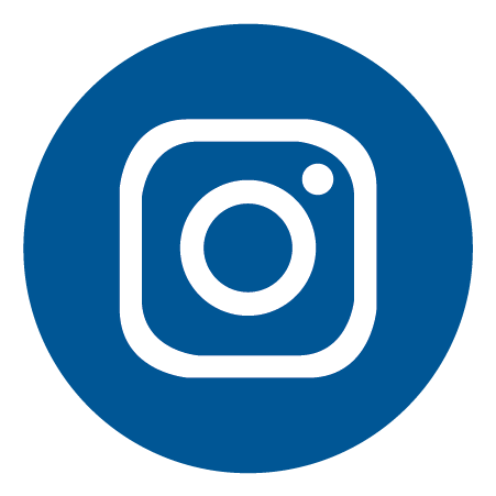 Instagram Link Button